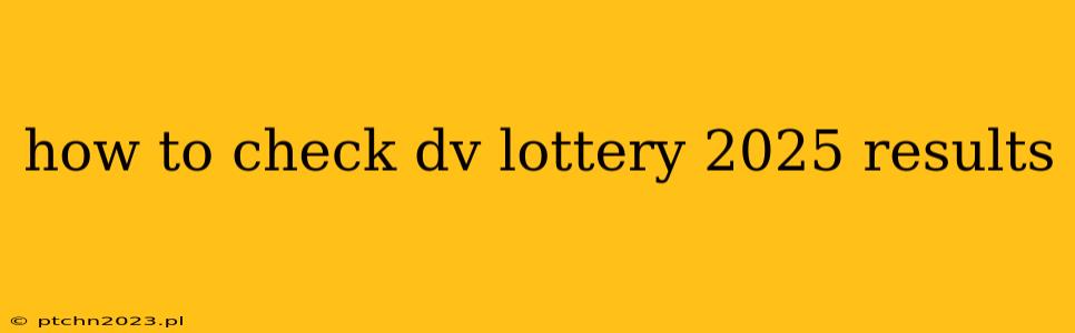 how to check dv lottery 2025 results