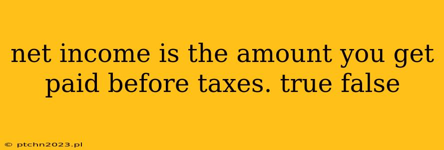 net income is the amount you get paid before taxes. true false