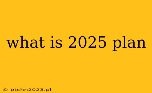 what is 2025 plan